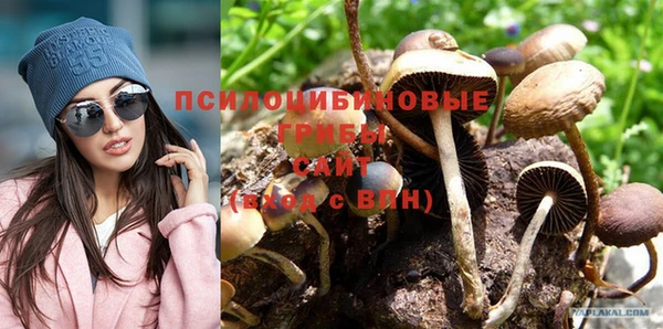 apvp Верея