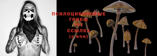 мескалин Верхний Тагил