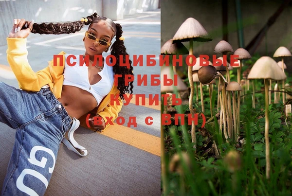 apvp Верея