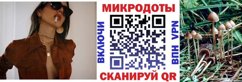 Купить закладки  Могоча  Галлюциногенные грибы Magic Shrooms 